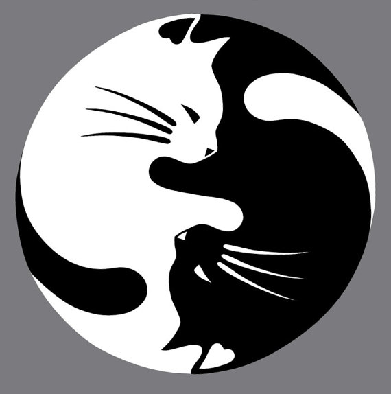 _ArtVolcano's tweet photo. Cat yang decal  | Lucky cat tattoo, Yin yang tattoos, Cat tattoo https://t.co/sYSF6771VF