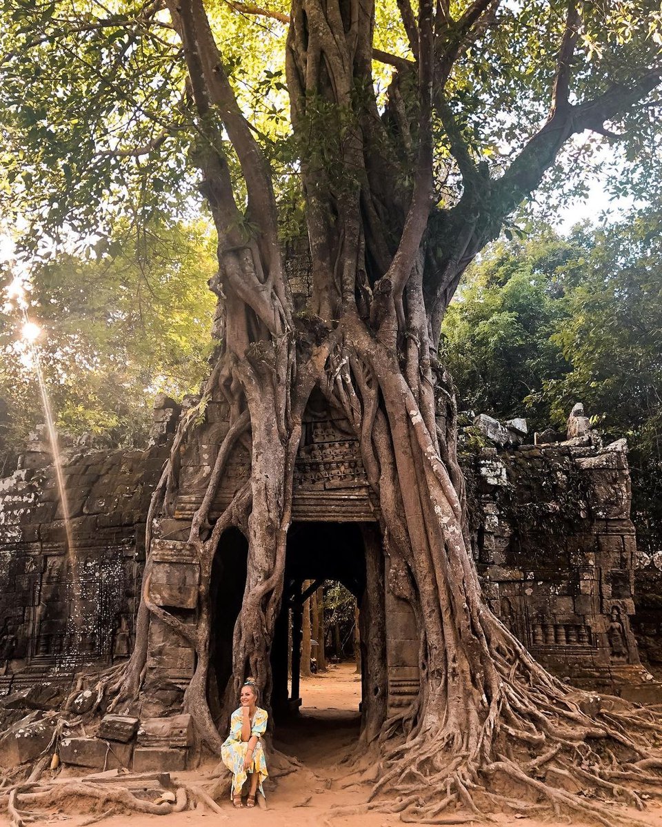 So many people don't venture far enough into Ta Som Temple to find this gem. 🌳🗿 After visiting the main temple, you have to keep going to find the best part of Ta Som! 💖⁠
.
📸 Photo by @karleeblair (IG)
🌏 siemreap.net/visit/angkor/t…