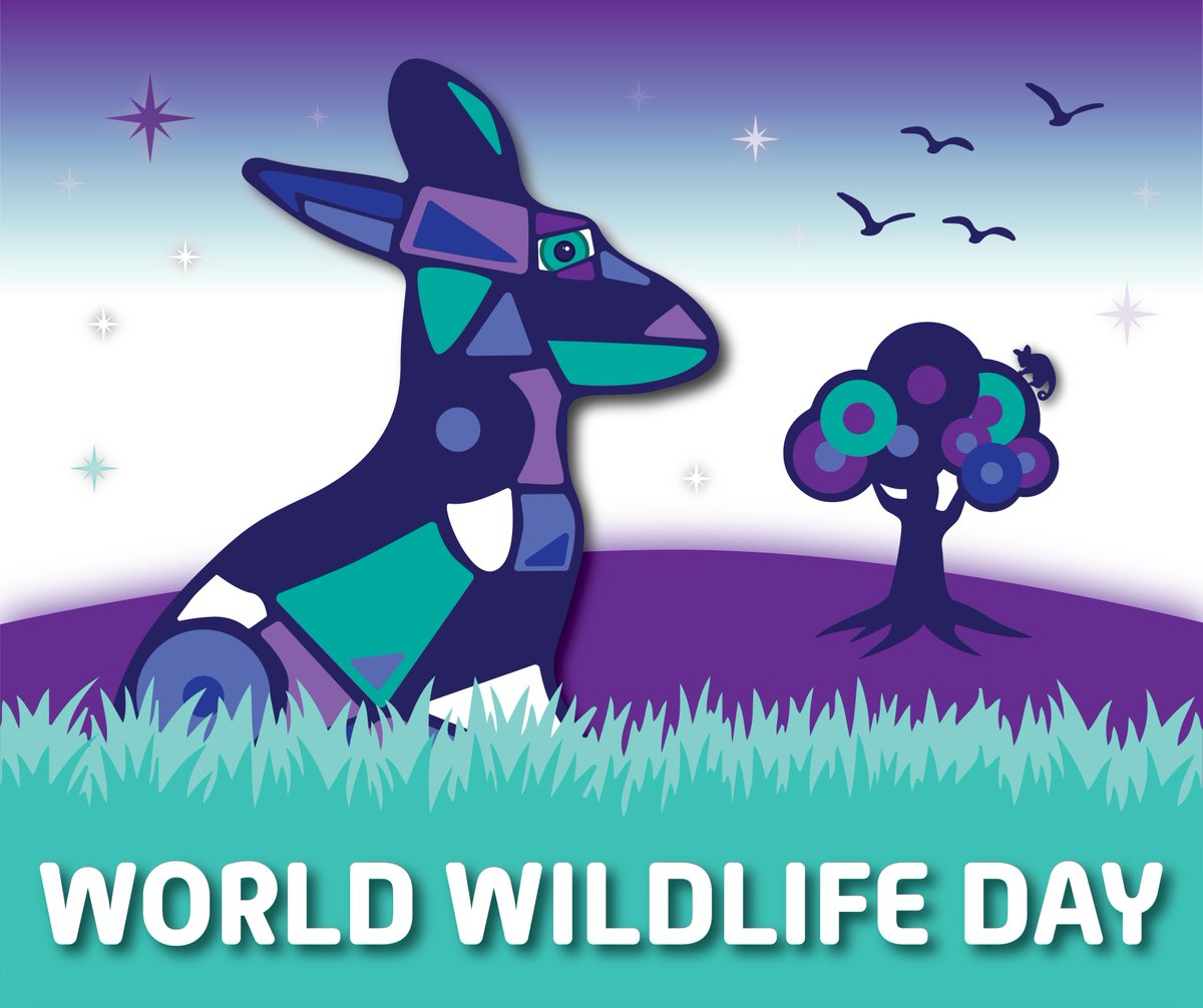 handson_science's tweet photo. Today we are celebrating ‘World Wildlife Day’. World Wildlife Day celebrates all wild animal and plant species as part of the world's biodiversity. 

To learn more, visit the link below:
https://t.co/68wUCE9OWH

Check out our ‘Minibeasts’ incursion:
https://t.co/jr4QIxzxLS https://t.co/qADvZfugLG