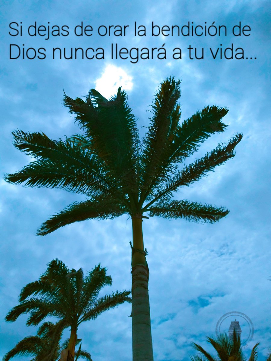 _florayfauna_'s tweet photo. Les invito a recibir con corazones abiertos este mensaje🙏🏻😇🤍.
#Paz #laudatosi #DiosTeAma
📸: Ambar Vega^^ https://t.co/kXKUwd11QE