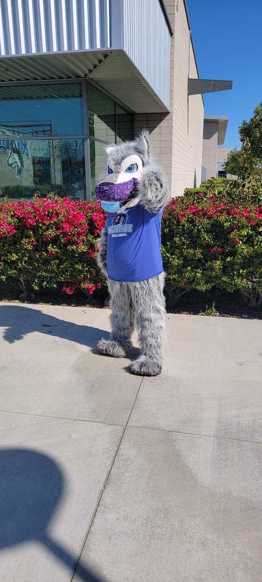 Students:  Wolfie wants YOU to join us for our student-led McBride Advisory Team meeting tomorrow in the McBride Parent-Student Center Canvas Zoom (3/3, 2:30 pm).  Our student leaders have great ideas on safe campuses and we need you on the team.❤️ 🐺 #proudtobelbusd @LBSchools