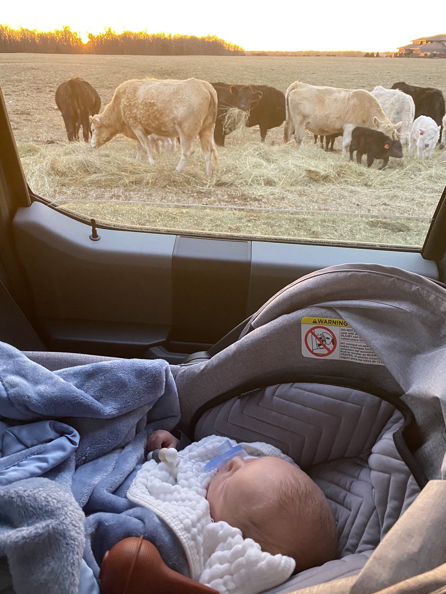 TaeganSumners's tweet photo. I can’t wait until he can actually see out the window https://t.co/5H55UPEeuz