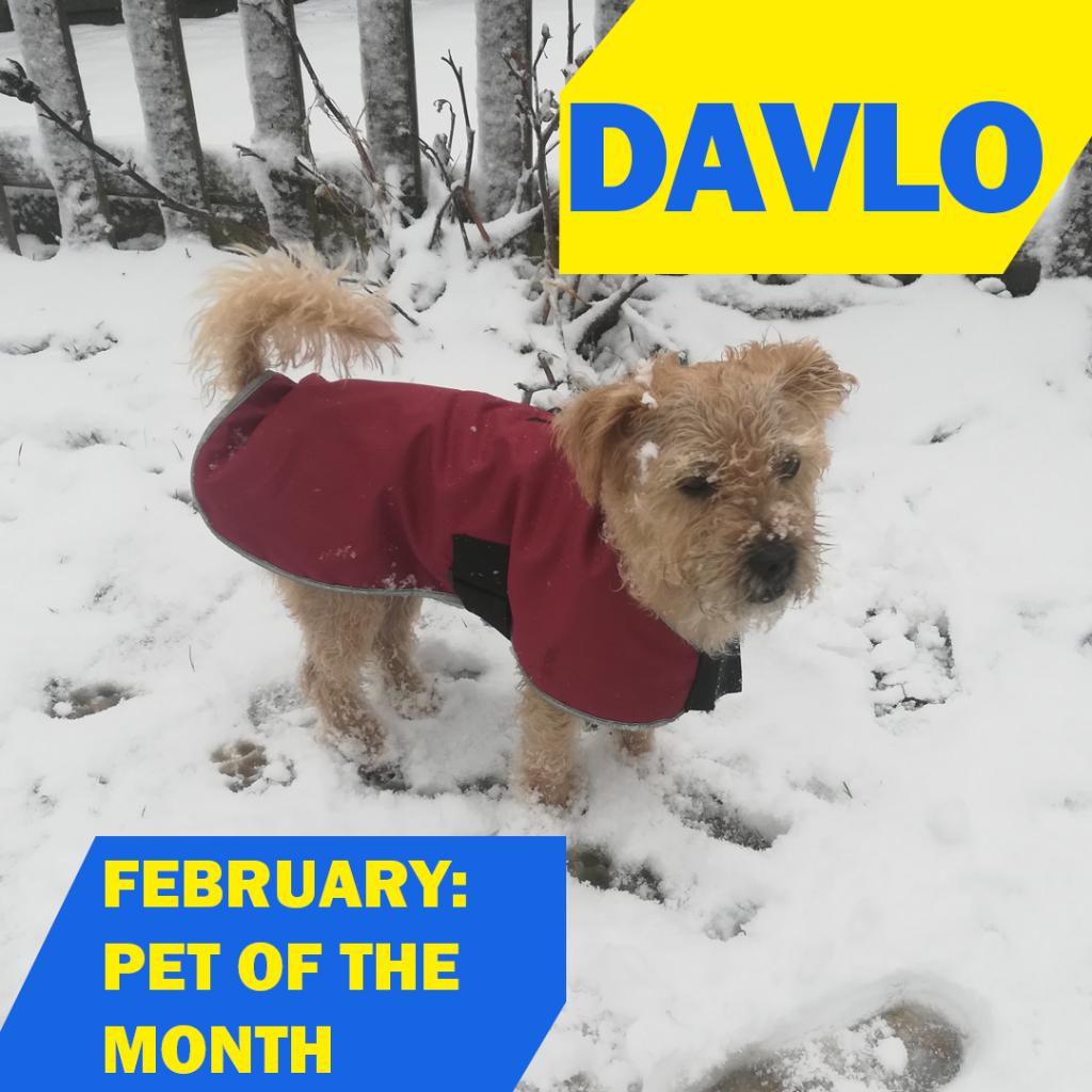 Meccabingo Com Login