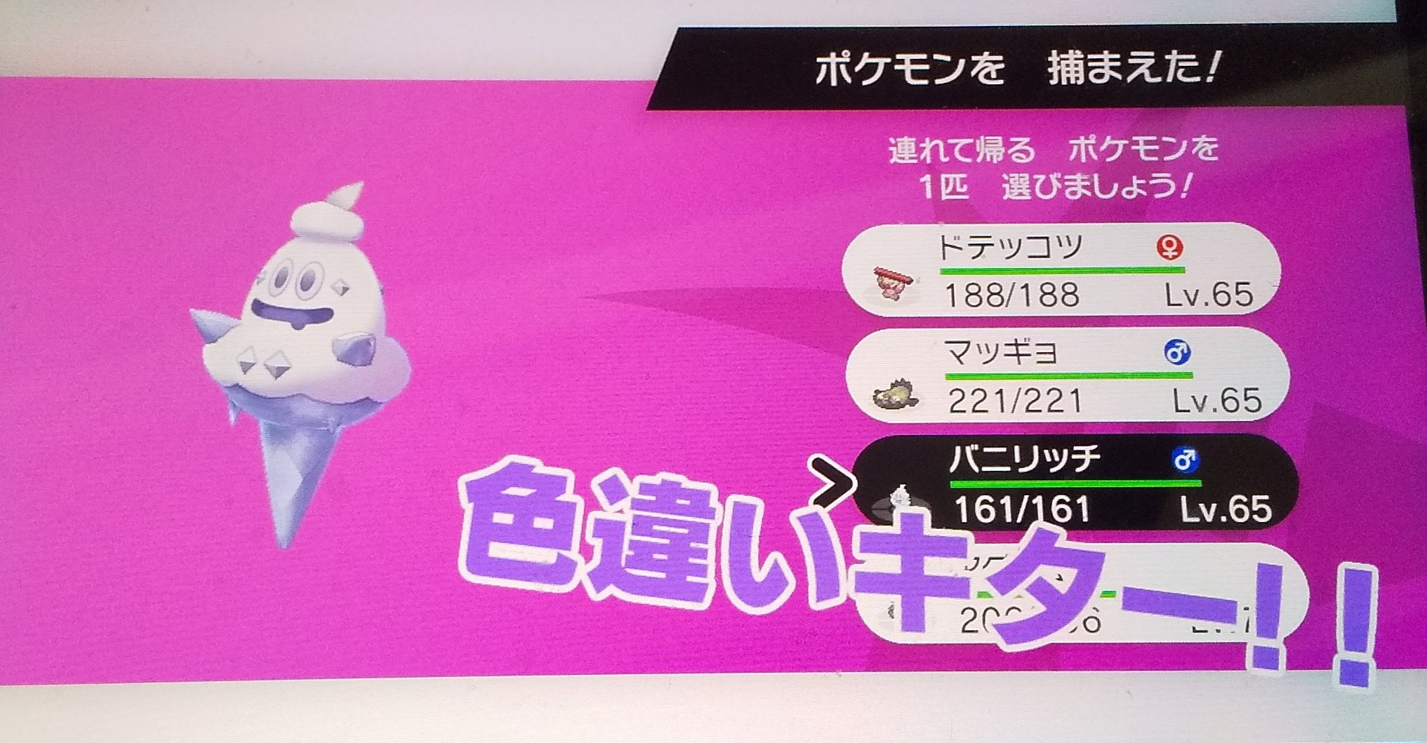 かずポケ 色違いバニリッチ バイバニラget 可愛い かなり好きなポケモンだから嬉しい 次は伝説のポケモンの 色違いだったらいいな 色違いポケモン T Co Msufkdmujt Twitter