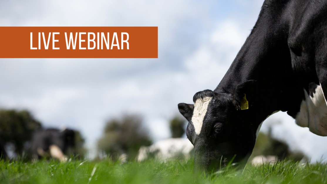 The Beat The Drop webinar features a line-up of expert speakers that will address key focus areas to prevent a drop in milk butterfat and how to manage and maintain it in early–mid lactation. #Dairy

🗓️ Thursday, March 11 at 8pm
👉 Register here bit.ly/3rbMMSf