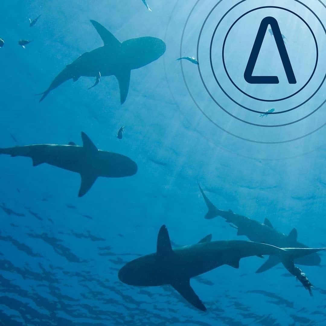 airshipcoms's tweet photo. How secure are your Superyacht IT &amp; communication systems? 
Don’t get caught out by hidden threats - stay connected in safety with us. 
#airship #Luxurylifestyle  #Superyachtlife  #superyacht #yachting #crew #captain #communicate #StayConnected #Yachting #Moredata #Yachtlife https://t.co/GlpBwm0WG1