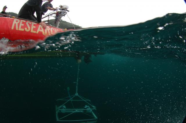 SANCORcommunity's tweet photo. Service providers required to extract data on the identity, abundance and size of marine organisms from videos and photographs collected with #BRUVs and #ROVs from #marine environments.
See RFQ from @NRF_SAIAB. Closing date 15 Mar 2021.
https://t.co/UAmx971I1P
📷 S. Benjamin https://t.co/NUUwnJkLN8