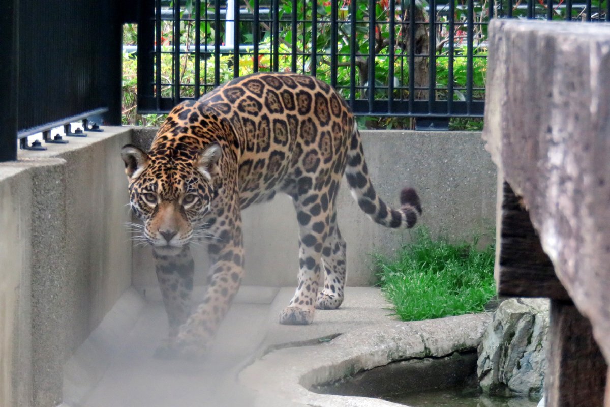 E5 E6 95 B5 81 8b 8f 81 84 81 84 بحث في تويتر E5 E6 95 B5 81 8b 8f 81 84 81 84 بحث في تويتر