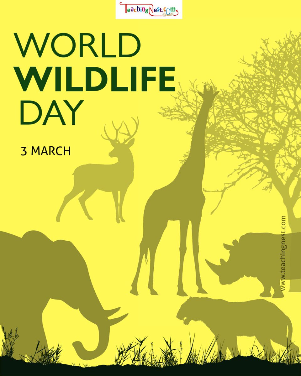 teachingnest's tweet photo. #worldwildlifeday #wildlife #wildlifeday2021 #worldwildlifeday2021 https://t.co/ALLMrDb5BW