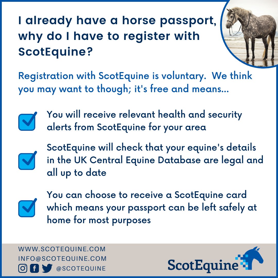 ScotEquine tweet media