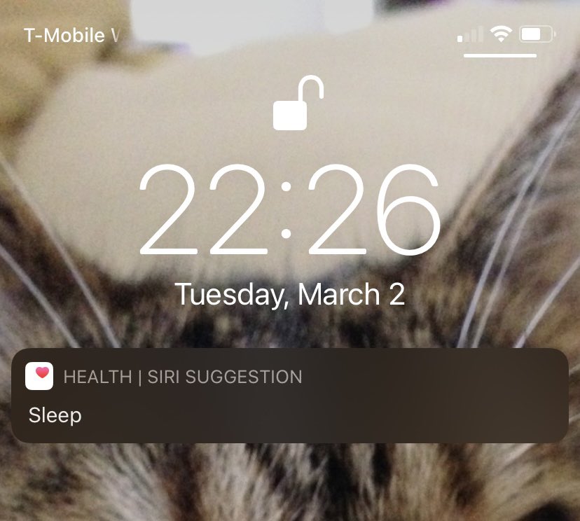 EvilVCookie's tweet photo. My Siri’s becoming a real judgmental bitch. https://t.co/ukMcXYoppB
