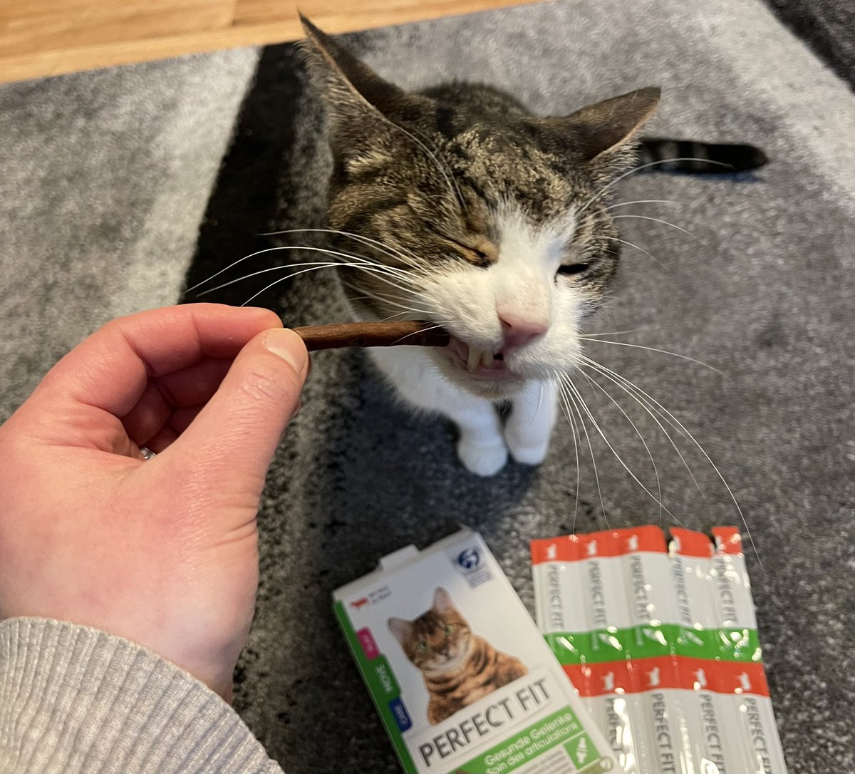 punktonella's tweet photo. "Werbung" 
Die Perfect Fit Gesunde Gelenke Katzensnacks bzw. Sticks, die wir über @Kjero_com testen dürfen, kommen bei Leo und Luna sehr gut an😺 

#petlove #kjero #katzenfuttertest #perfectfit #katzensnacks #katzenleckerli #katzensticks #produkttester #produkttest https://t.co/LeKd7vJxqs