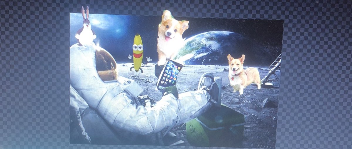 Depressedinsid3's tweet photo. #photoshop #photoedit #funny #corgi #space one of my favs https://t.co/N3tljedje0