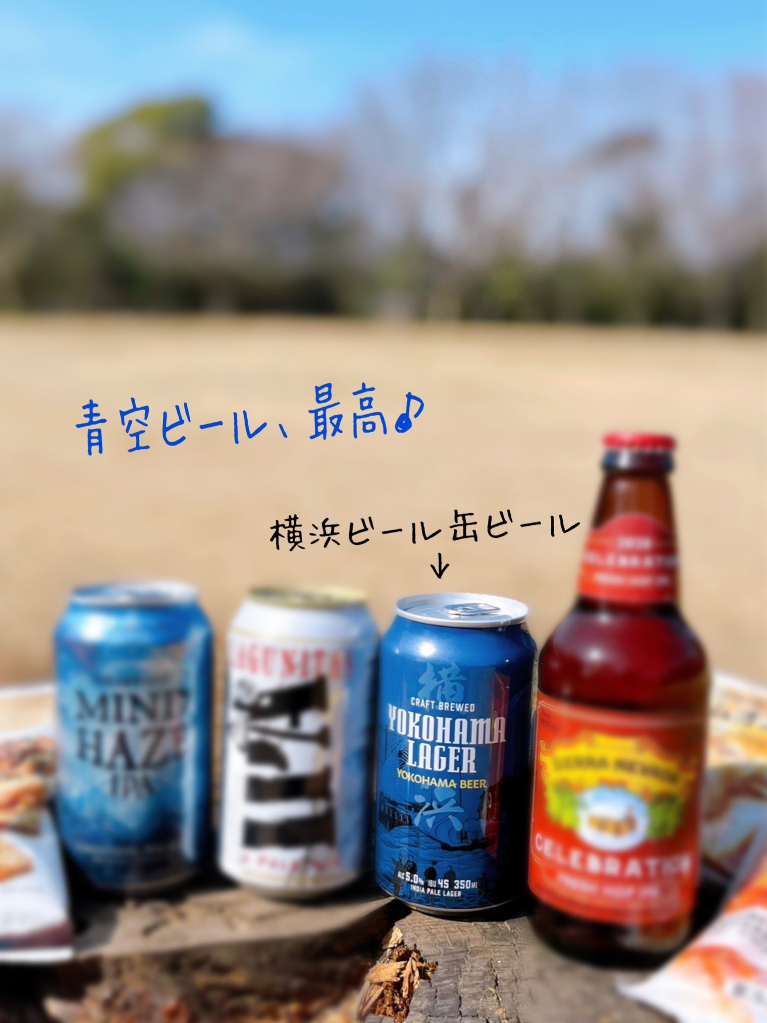 Rose 近所の公園で青空ビール 特に横浜ラガーが飲みやすくて とっても好みの味でした 横浜ビール 横浜ラガー 横浜ビール缶ビール ファミマで見つけた横浜ビール缶ビール ファミリーマート横浜本牧通り店 ビール女子 T Co 4jkshmurhm