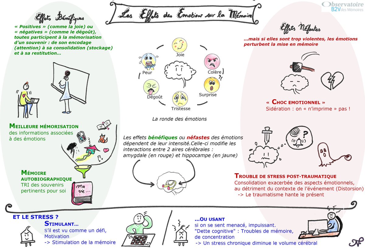 isafil's tweet photo. Quels sont les effets des émotions sur la #mémoire ? Le #stress est-il toujours négatif ? 

Un article passionnant à lire ici 👉 https://t.co/W2GCISb1Vo #psychologie https://t.co/pebj5EOzfm