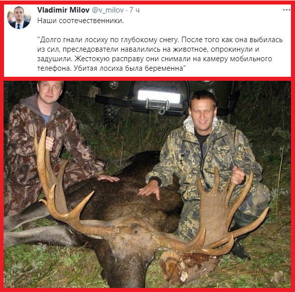 EviIM-kXAAIf6M1?format=png&name=small