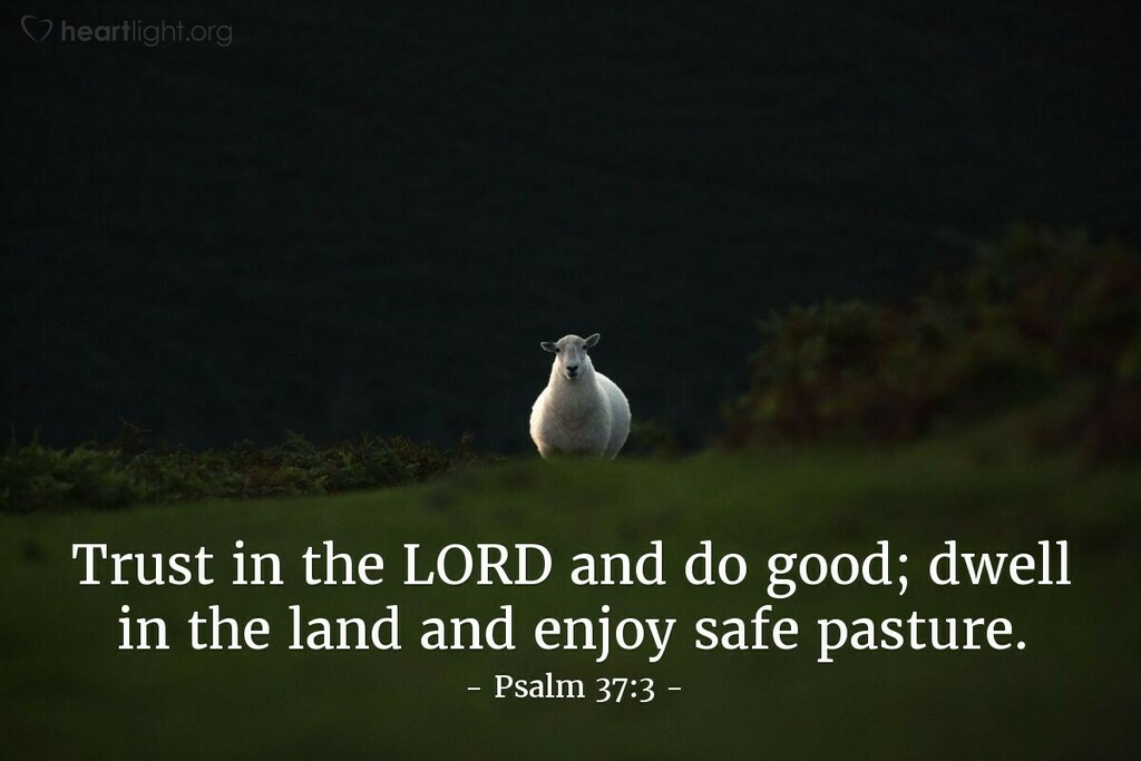 Verse of the Day - Psalm 37:3 ift.tt/3rbpxrt