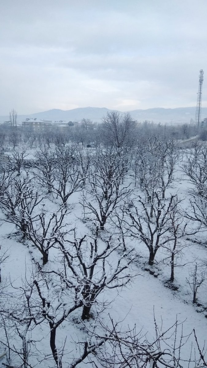 Güne böyle başlamak kadar güzel bişey yok sanırım