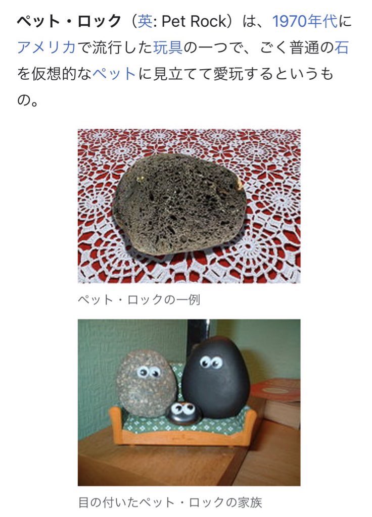 1970年代 ただの石ころをペットとして可愛がる ペットロック という遊びが一大ブームになっていた 様々な作品に影響を与えた説 Togetter