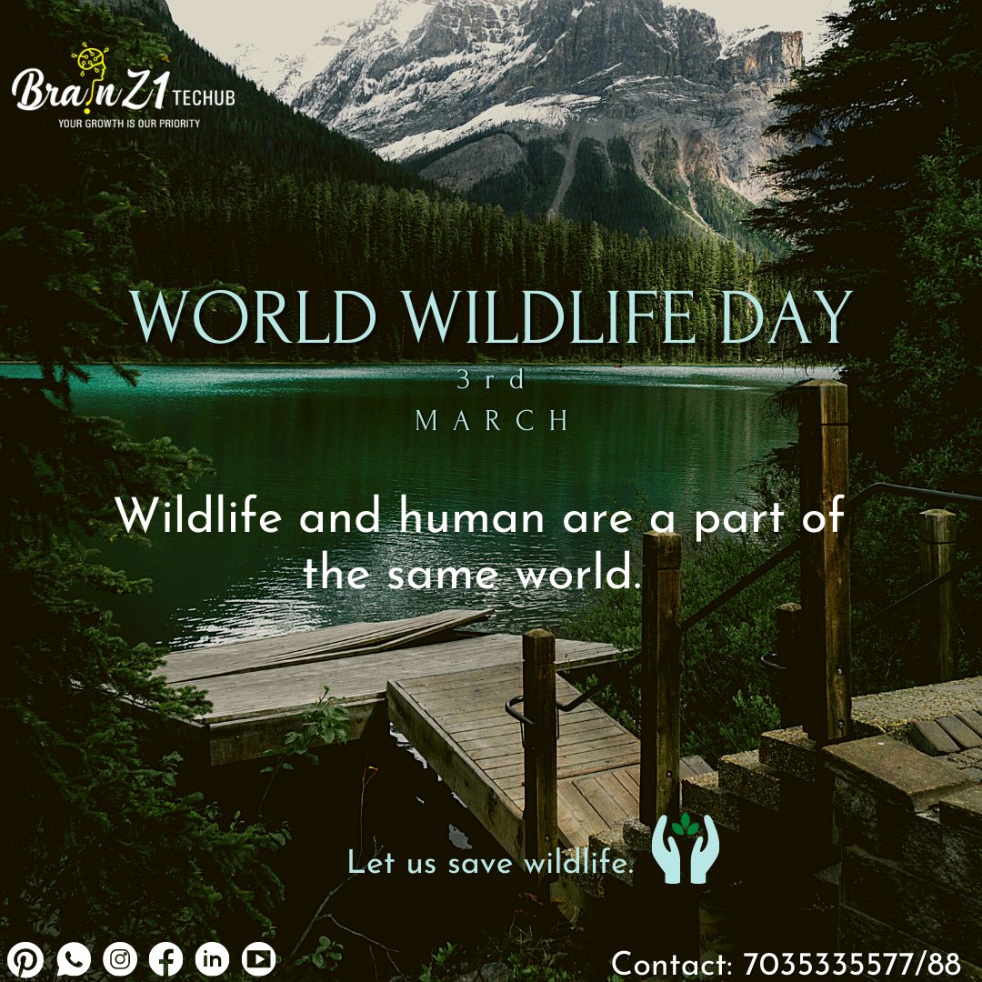 Brainz111's tweet photo. The quality of life for humans is going to get worse with the wildlife getting extinct. Let us save them for the planet.

WORLD WILDLIFE DAY

#WorldWildlifeDay
 #bz1 #brainz1 #brainz1techub #bz1community https://t.co/xYNg4GMszW