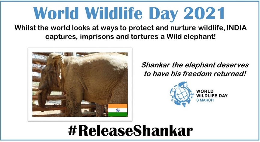 JulieBe77816533's tweet photo. #freeShankar #WhereIsShankar #Abuse #Torture https://t.co/j5U9fruHqu