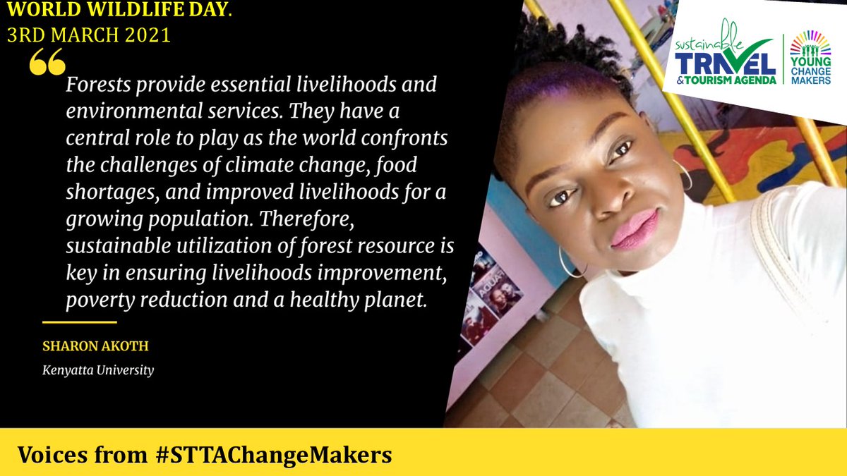 STTAKenya's tweet photo. #WorldWildlifeDay2021
#sttachangemakers
#sustainabletourism https://t.co/r3CZep35vE