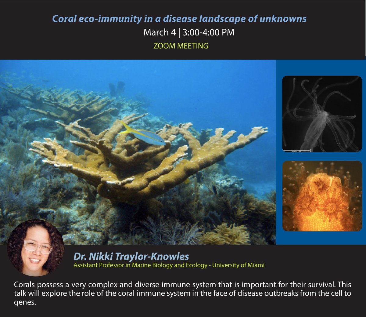 Alejandra Hernández (@alelimonha) on Twitter photo TOMORROW 4th at 3PM PDT - Dr. Nikki Traylor-Knowles
(<a href="/Cnidarians_Rock/">Dr. Nikki Traylor-Knowles <a href="/cnidimmunitylab/">Traylor-Knowles Lab</a></a> @cnidimmunitylab) will discuss corals' immune system fight against disease outbreaks. DM for the zoom link TOMORROW 4th at 3PM PDT - Dr. Nikki Traylor-Knowles
(<a href="/Cnidarians_Rock/">Dr. Nikki Traylor-Knowles <a href="/cnidimmunitylab/">Traylor-Knowles Lab</a></a> @cnidimmunitylab) will discuss corals' immune system fight against disease outbreaks. DM for the zoom link