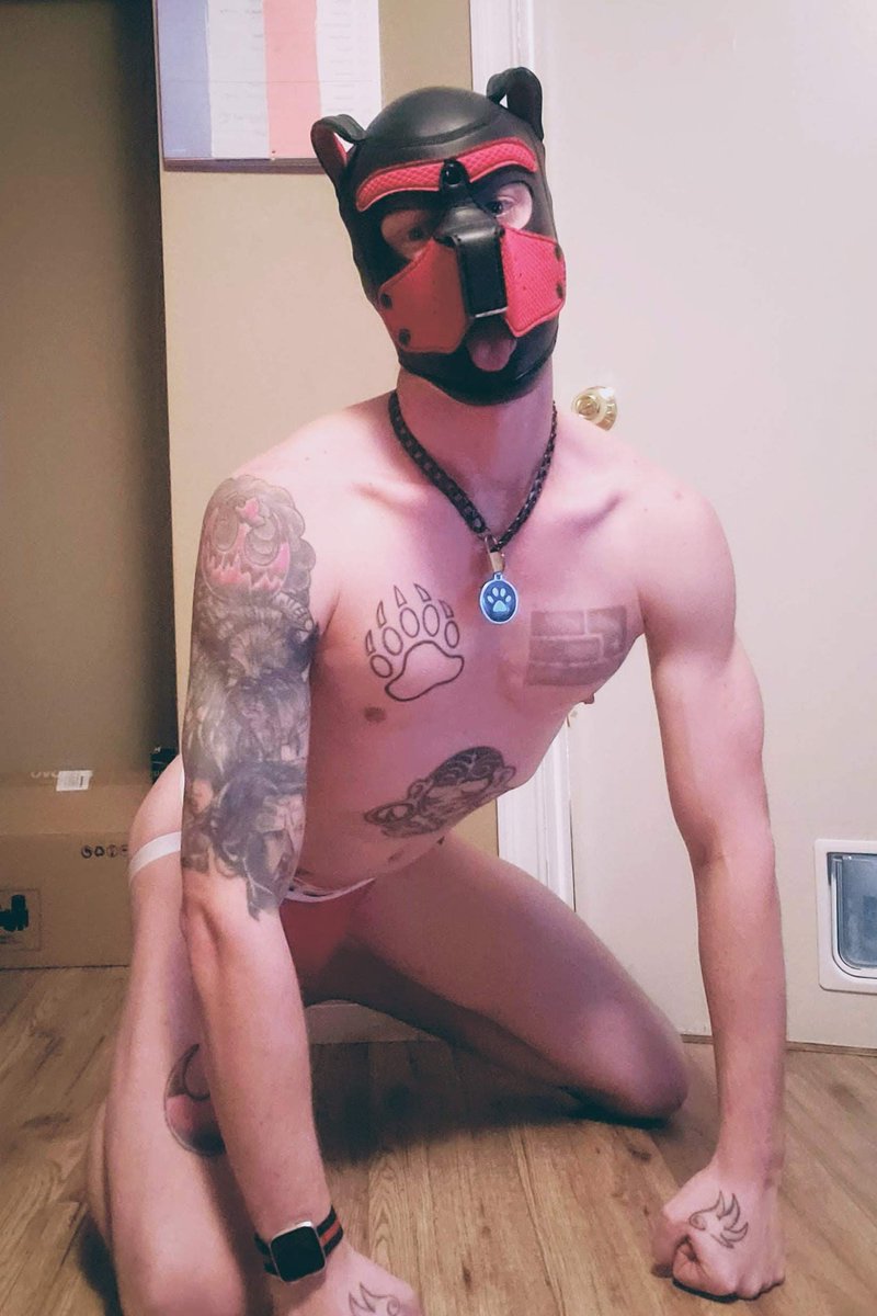 yourkingmrkobe's tweet photo. Happy pup missing the warmer weather 
#pupplay #pupplaycommunity #gaypup #gayman #OFboy #gayonlyfans #pupkingkobe https://t.co/04cBLmQl4c