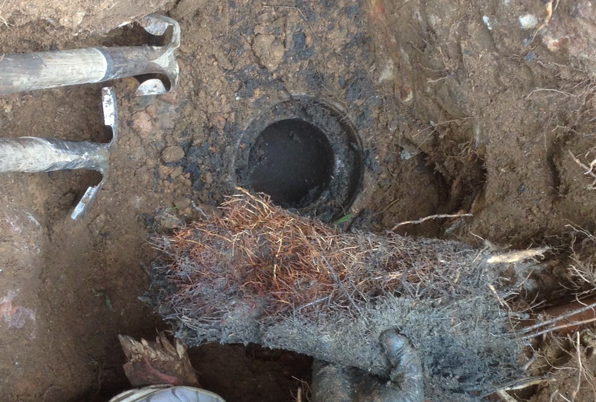 Raks_plumbing's tweet photo. BLOCKED DRAIN?
RQP are EXPERTS When it comes to blocked drains,
We have seen it all! Save our number in case you need a blocked drain specialist! 0431 181 967
.
.
#plumbproud #emergencyplumber #masterplumber #5star #service  #Sydney #local #reliable #friendly #plumber #northshore https://t.co/oJ9Tac8v0A