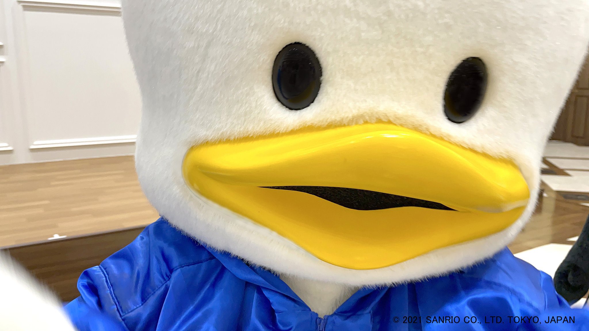 あひるのペックル Ahirupekkle Twitter