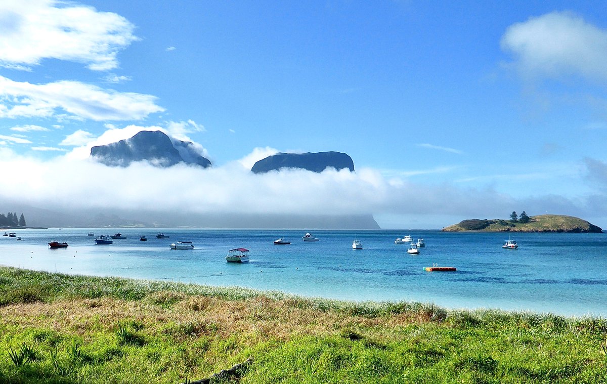 Lord Howe Island’s enchanting lagoon is protected by the world’s most southern coral reef 🐠 
We hope you’ll join us this November when we explore this extraordinary place! 
#lordhoweisland #adventure