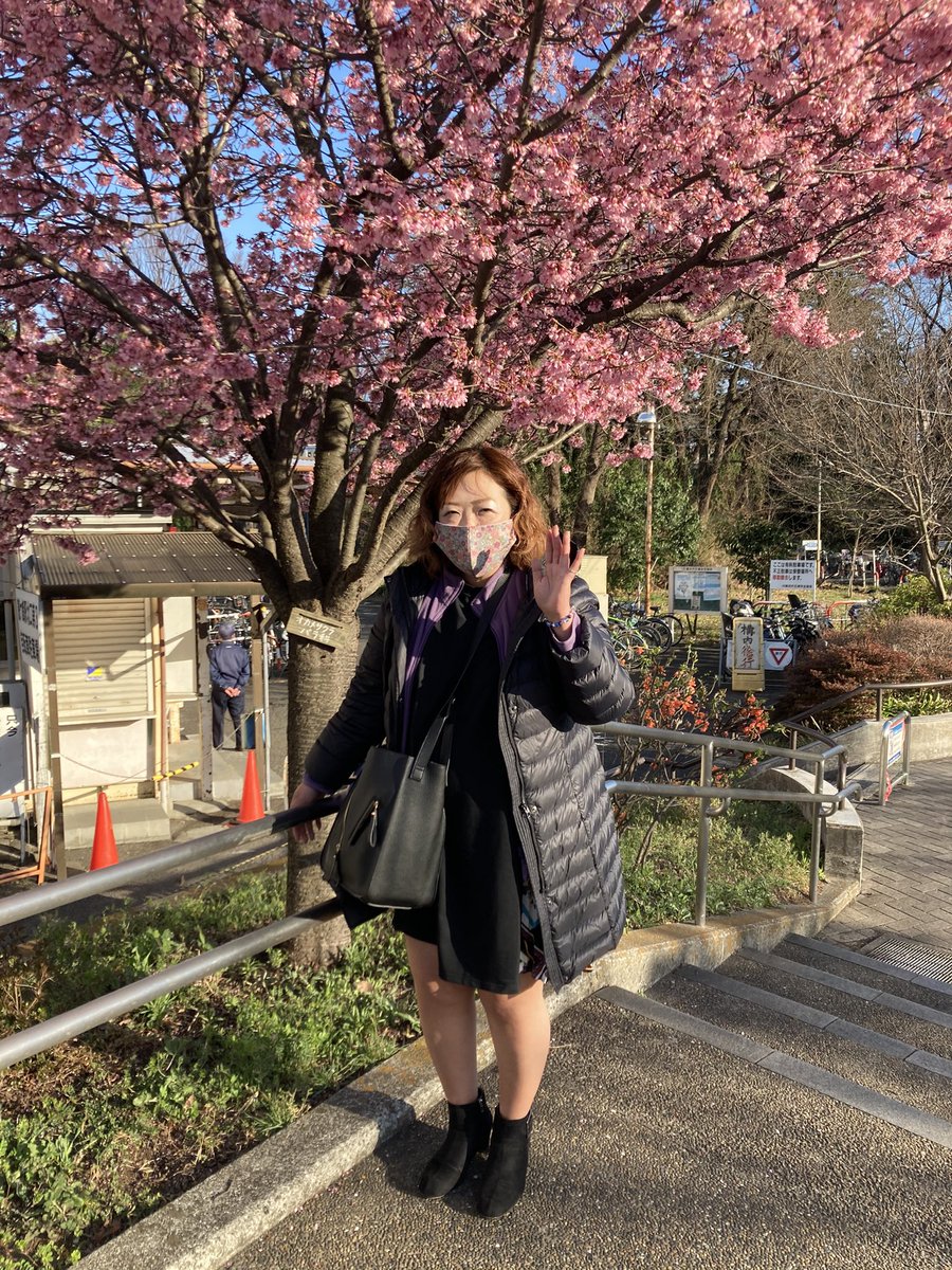 かいほう どらねこ先生です 双子ではありません笑