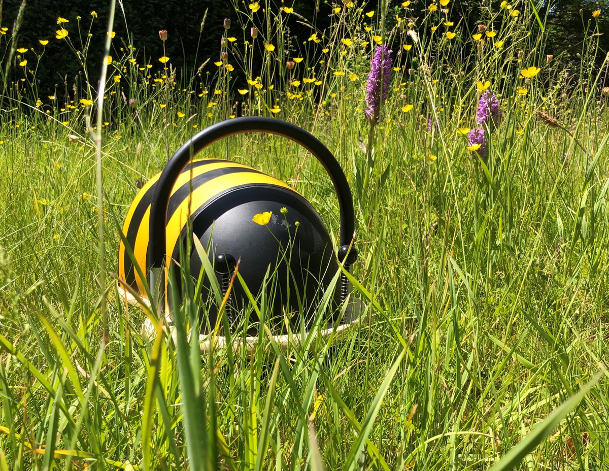 hippychick_com's tweet photo. Did you know that today is #WorldWildlifeDay? Lovely to see these bugs emerging from hibernation in recognition!! 😂🤣🐞🐝#parenting #toys #wheelybugs https://t.co/8HdkPHTpLh