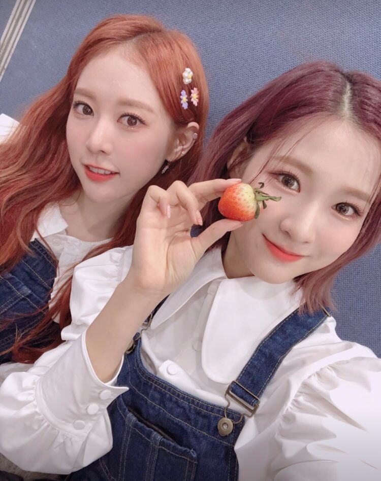 theyre so cute..