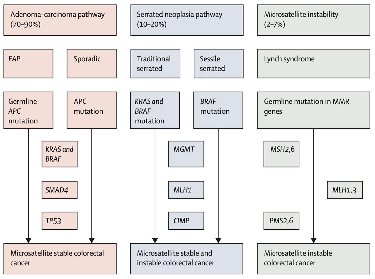 drkeithsiau's tweet image. A must read review on colorectal cancer in @TheLancet @mikewallacemd

1) Incidence 📊
2) Risk factors ⚠️
3) Why colorectal cancers develop 🧬 
4) Differences between left and right sided cancers 🎯

#ColorectalCancerAwarenessMonth 

sciencedirect.com/science/articl…