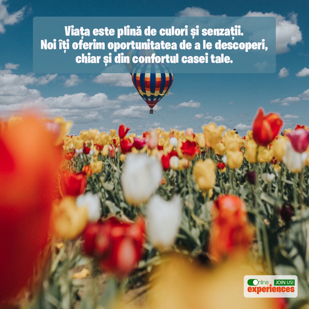 OnlineExperien5's tweet photo. Nu rata oportunitatea de a descoperi si participa la experiente surprinzatoare, pe care le poti descoperi prin intermediul site-ului nostru https://t.co/f983maAGx8 Te asteptam alaturi de noi🤓
——
#degustari #online #experiente #experiences #relaxare #wellbeing #yoga #hobby https://t.co/hh0T6pJypb