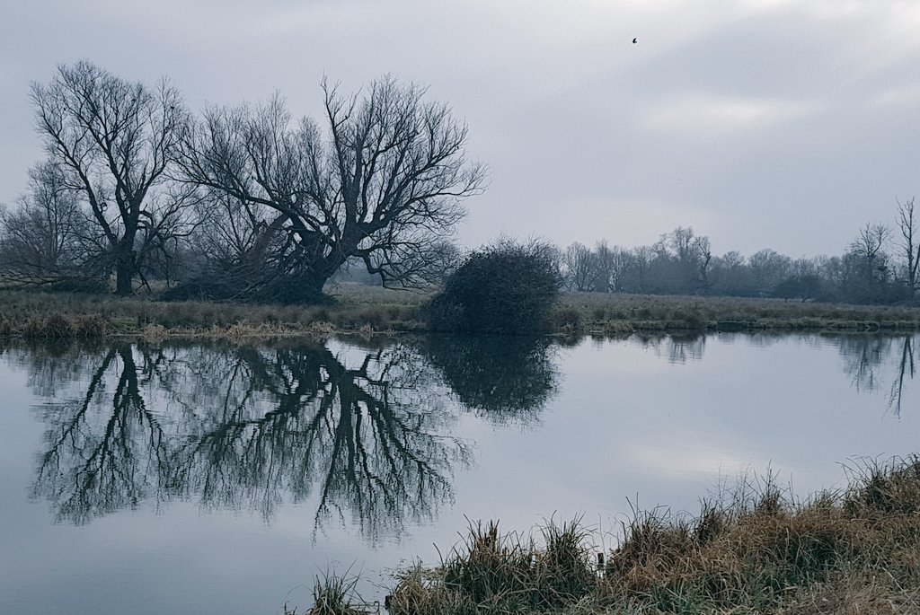 A spot of quiet reflection - you can't beat it. #Reflection #Elyriverside