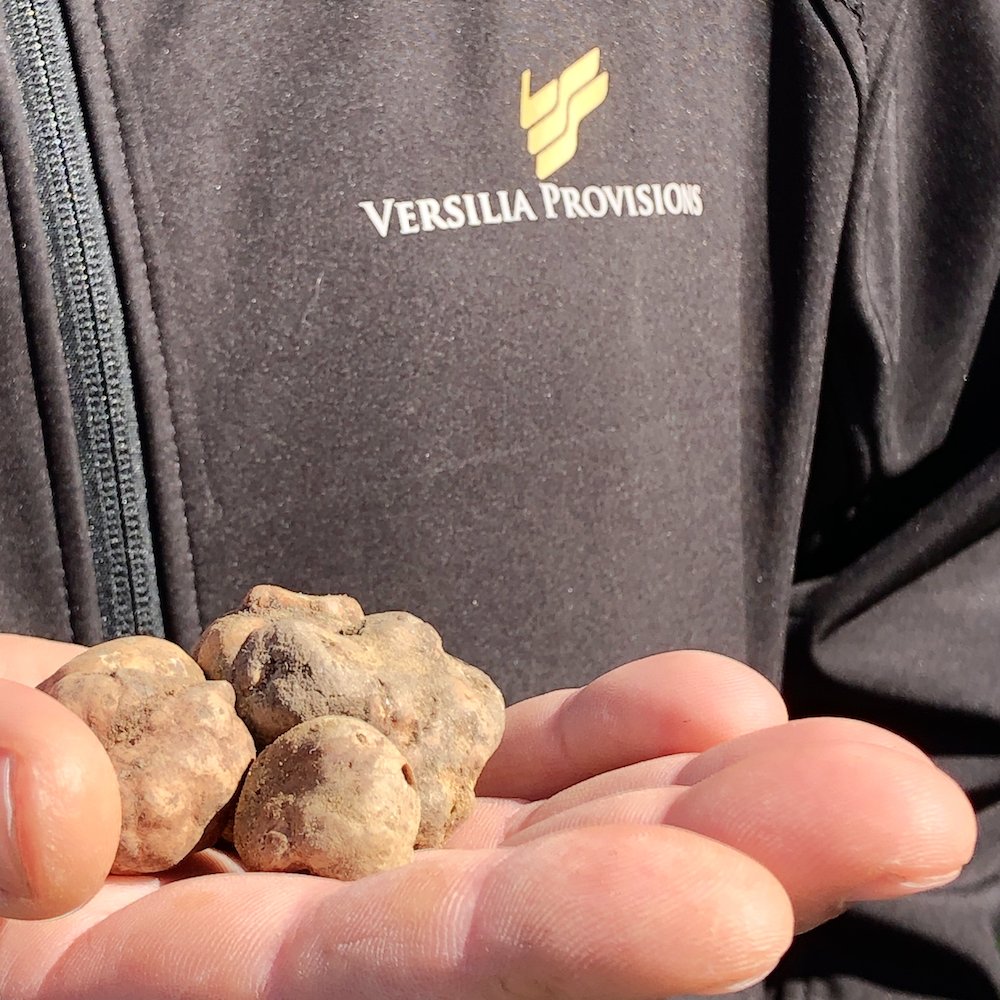 Dalla terra alla tavola 🍽️  
Alla ricerca di tartufi insieme al nostro amico Giotto e a Versilia Provisions! ✨

• Savini Tartufi • Versilia Supply Service

#BogusLab #video #videoediting