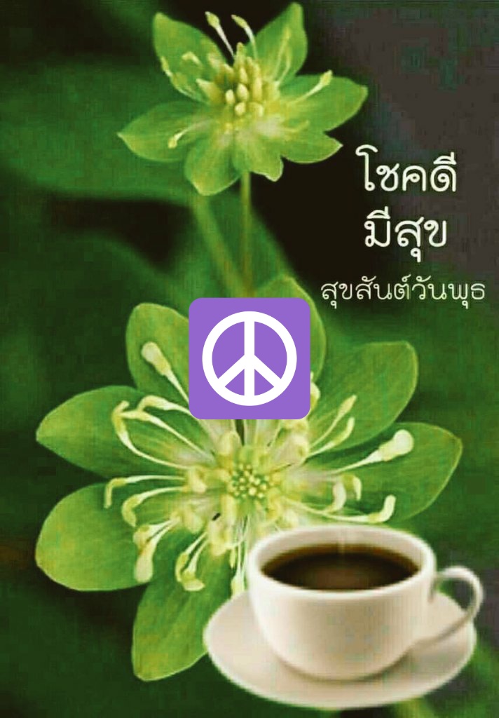 wutnj's tweet photo. https://t.co/0ZiX6WPzAz