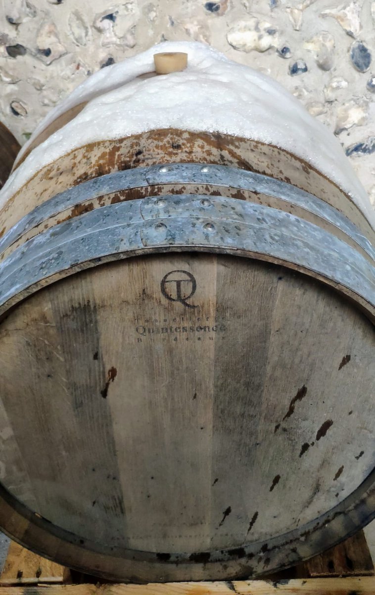 Wildcraft Mike tweet media