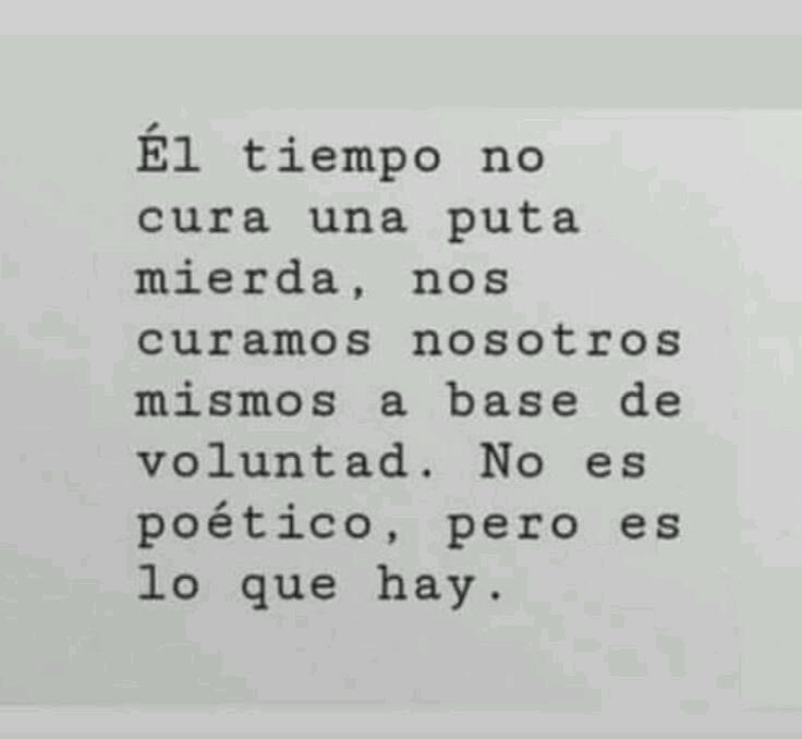 fernanditapalma's tweet photo. https://t.co/IEwsIHX5iz
