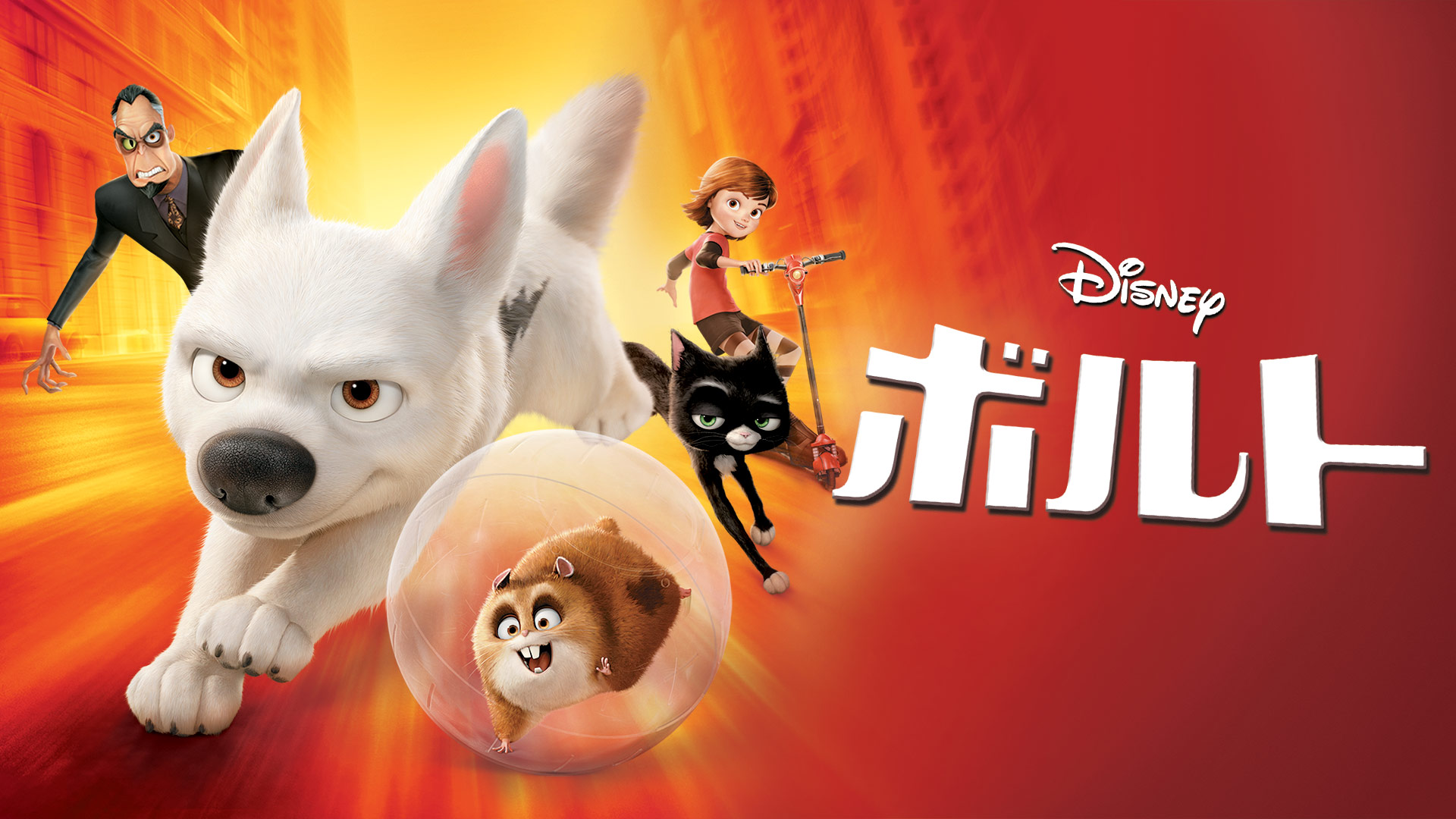 ディズニープラス公式 長編アニメ視聴チャレンジ 第六地点 50km 48作目 ボルト ハリウッドタレント犬 49作目 プリンセスと魔法のキス カエルの王子にキスをすると 50作目 塔の上のラプンツェル 黄金に輝く美しい髪 ディズニー