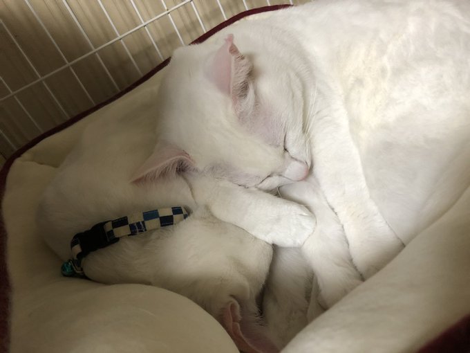 今日わりと崩れてるな.... 