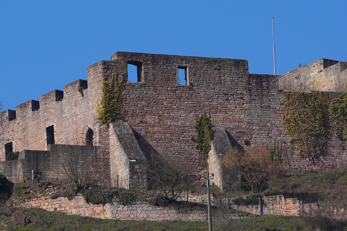 Pfalzfoto's tweet photo. Die #Wolfsburg in #NeustadtWeinstraße. https://t.co/rOE4Kw3nor