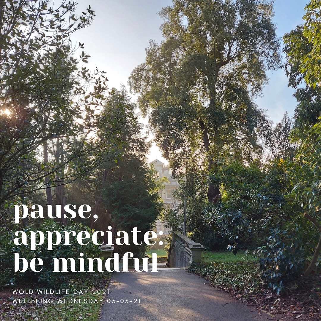 Exeter Nightline tweet media