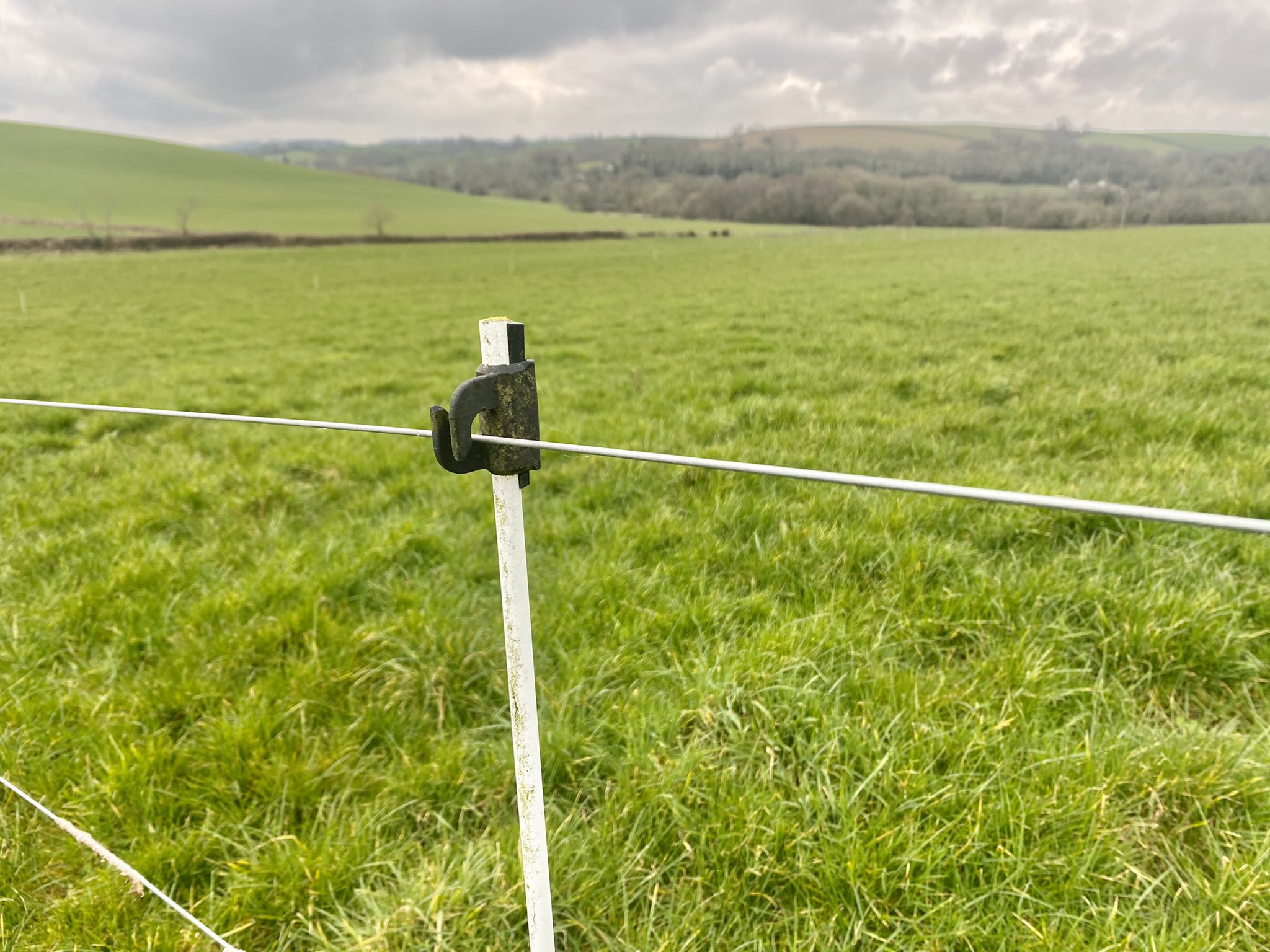 Kiwitech electric fencing cheap