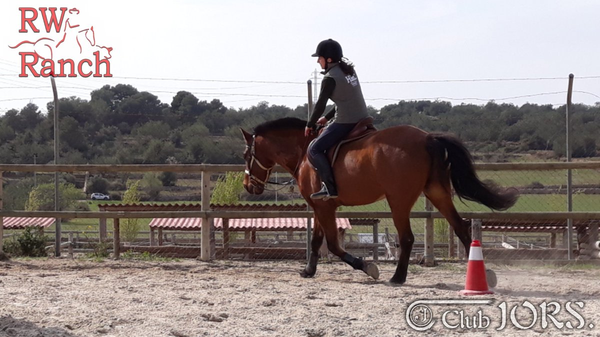 ClubJors's tweet photo. Están siendo unas semanas fenomenales.
Este fin de semana la agenda se nos ha quedado pequeña.
Orgullosos de que cada vez más gente se acerque a RW Ranch   para iniciarse en el mundo del caballo con nosotros...
https://t.co/arlJECrHFO
647.885.422
hipicojors@gmail.com https://t.co/ONu2jc4WEy