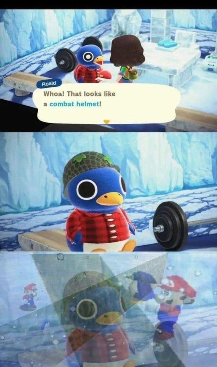 TheAlwaysTurtle's tweet image. I can't even