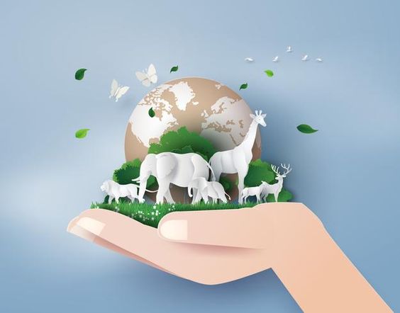 As a collective, we are responsible for the preservation of our planet and all those who call it home. The choices that we make, affect us all. 

To learn more visit:  wildlifeday.org

#WorldWildlifeDay