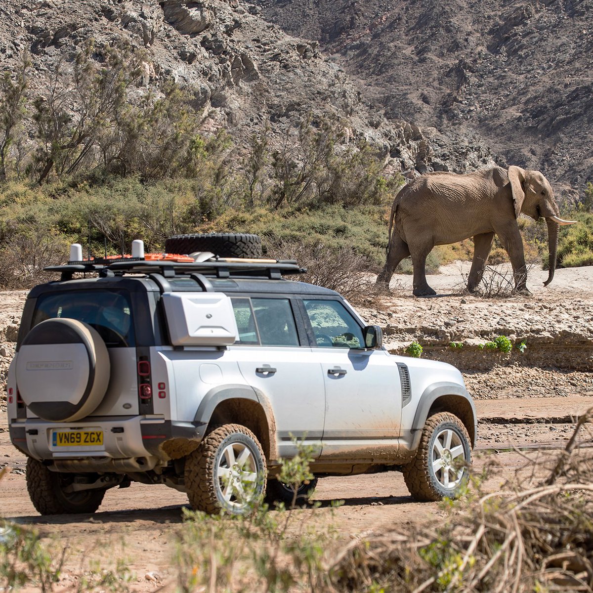 LandRover_TR's tweet image. Vahşi yaşam ile uyumlu olmak Land Rover #Defender’ın doğasında var.
#TeamDefender #DefenderTutkusu #WildLifeDay